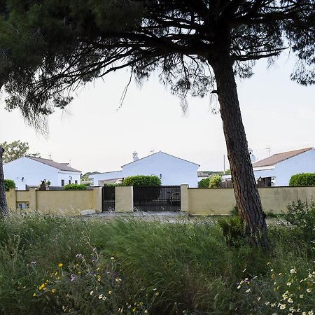 Villas Perez Zara Conil De La Frontera Bagian luar foto